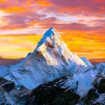 पिंजडाको सुगाको कथा