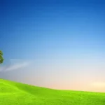 गीता जयन्तिमा मर्लिन मुनरोको खोज