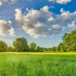 बदलिएको मौसम !